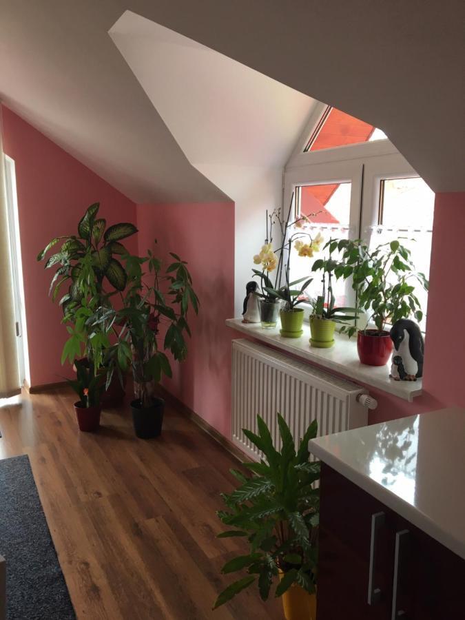Apartmán Privat Daniela Štrba Exteriér fotografie